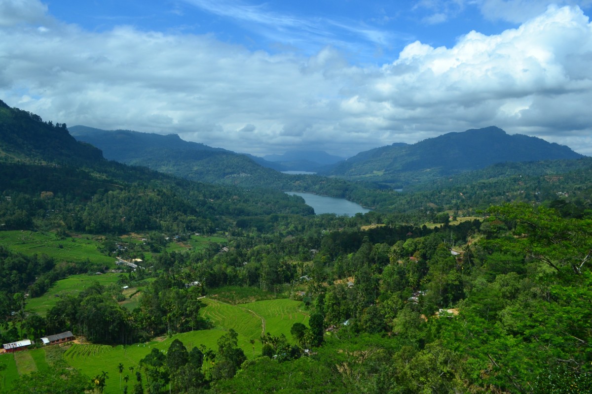 paysage.SriLanka
