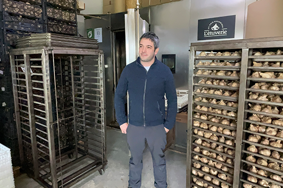 Directeur Étuverie