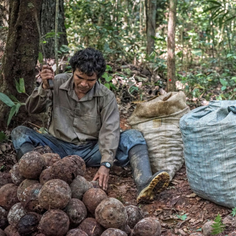 filiere-bolivie-base-organic-food filiere-bolivie-base-organic-food