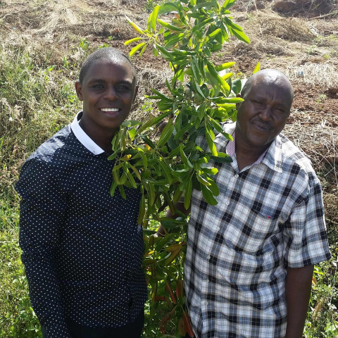 filiere-kenya-base-organic-food filiere-kenya-base-organic-food