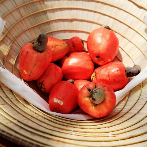 filiere-vietnam-base-organic-food filiere-vietnam-base-organic-food