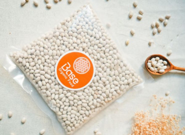 Haricot coco blanc