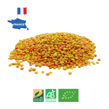 Duo de lentilles