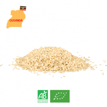 Graine de sésame