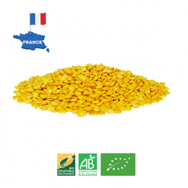 Lentilles jaunes
