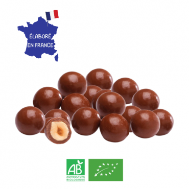  Noisette Enrobée Chocolat au Lait Bio