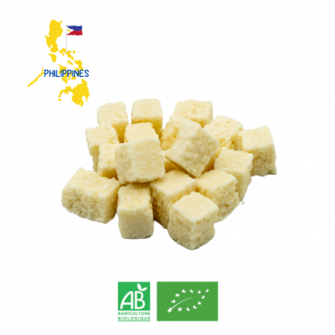 Coco Cube Bio